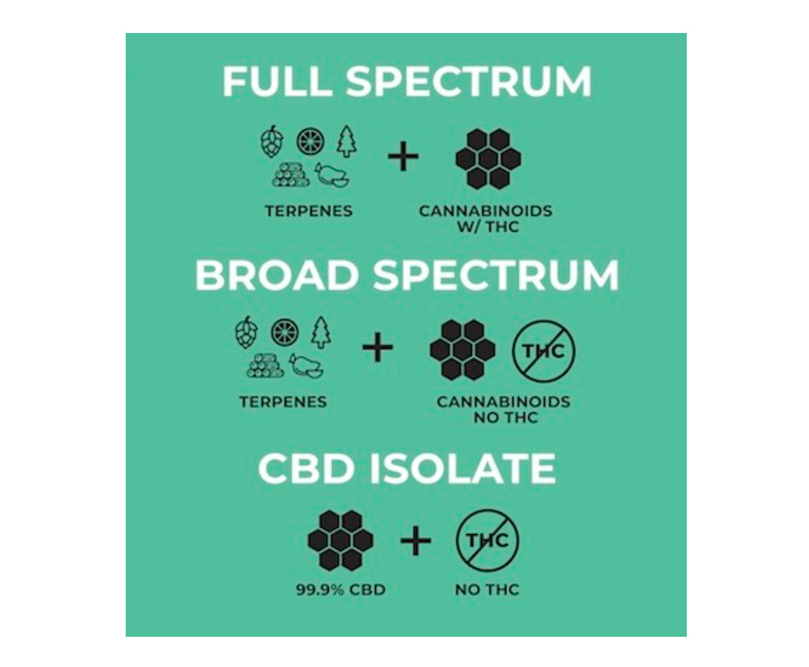 CBD 101