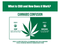 CBD 101