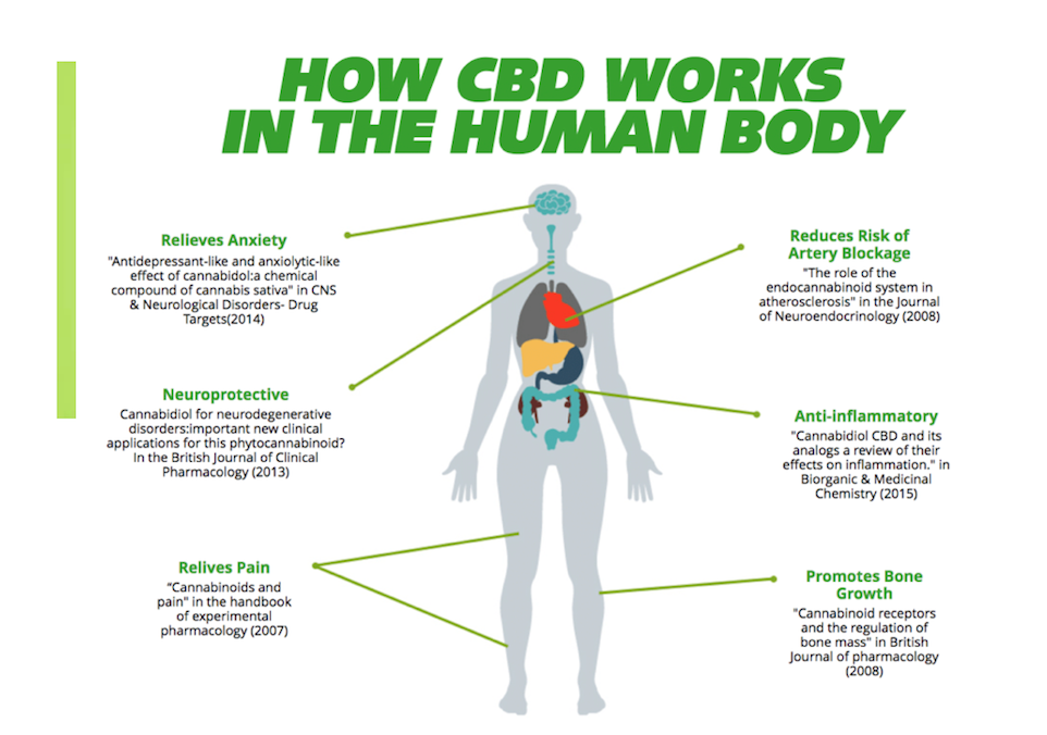 CBD 101