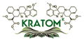 Kratom, Tennessee, powder, capsules