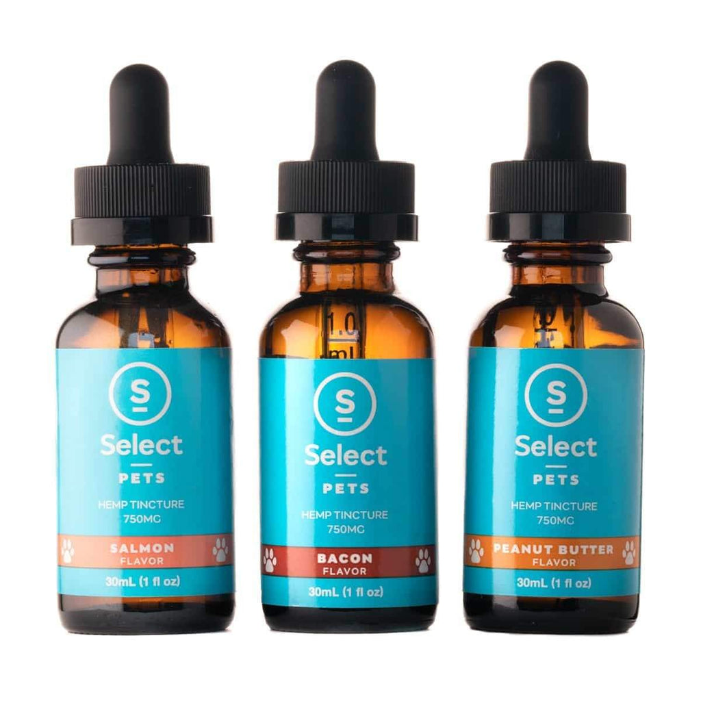 cbd tincture, dogs, cbd, cats
